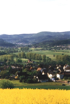 Blick von der Schutzhütte Richtung Biedenkopf